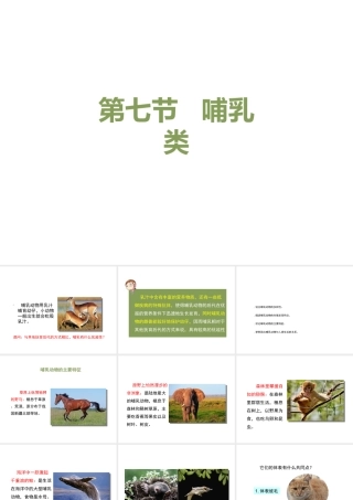八年级生物上册 7.1.7《哺乳类》课件 鲁科版五四制-鲁科级上册生物课件