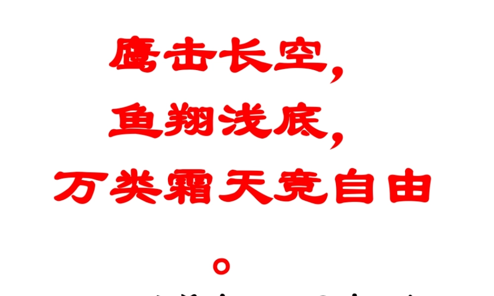 八年级生物上册 5.1.6 鸟课件 （新版）新人教版-（新版）新人教版初中八年级上册生物课件