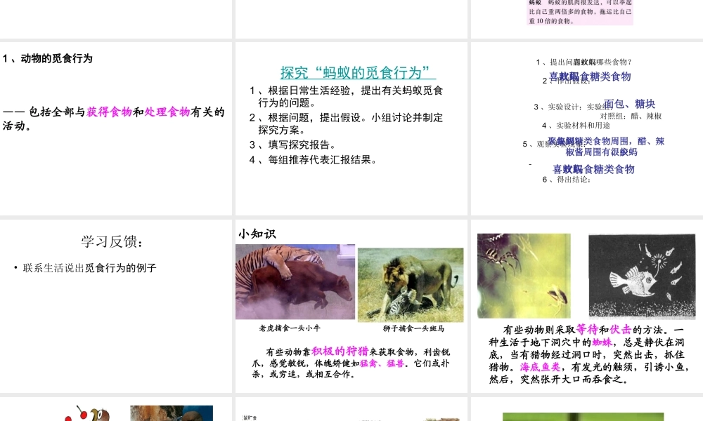 八年级生物上册 第1节 动物行为的主要类型课件 苏教版