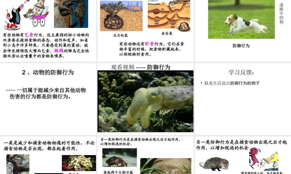 八年级生物上册 第1节 动物行为的主要类型课件 苏教版