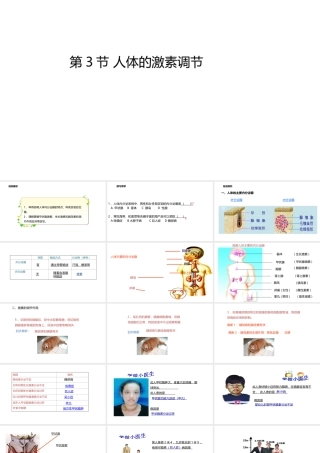 八年级生物上册 6.16.3人体的激素调节课件 （新版）苏科版-（新版）苏科级上册生物课件