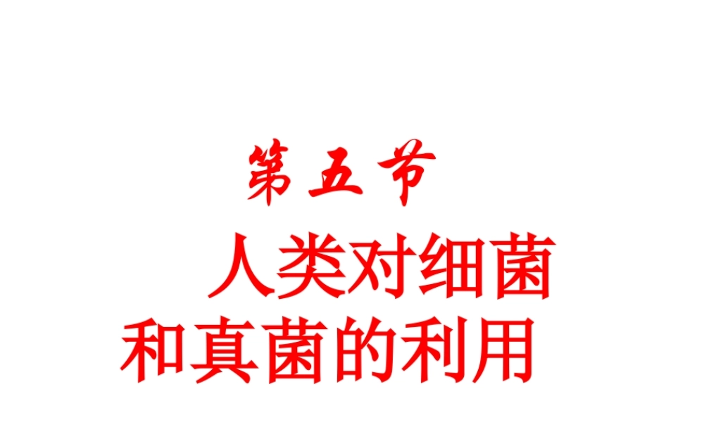 八年级生物上册 5.4.5人类对细菌和真菌的利用课件 （新版）新人教版-（新版）新人教版初中八年级上册生物课件