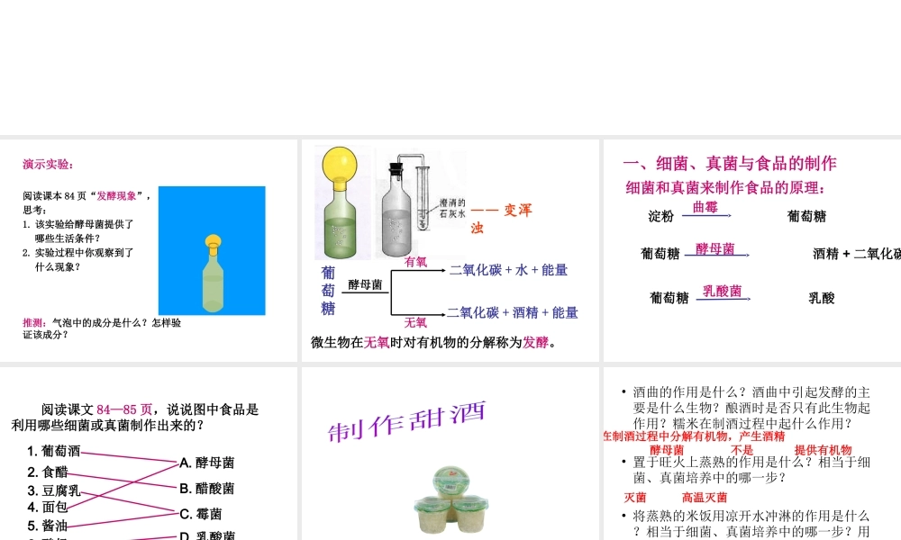 八年级生物上册 5.4.5人类对细菌和真菌的利用课件 （新版）新人教版-（新版）新人教版初中八年级上册生物课件