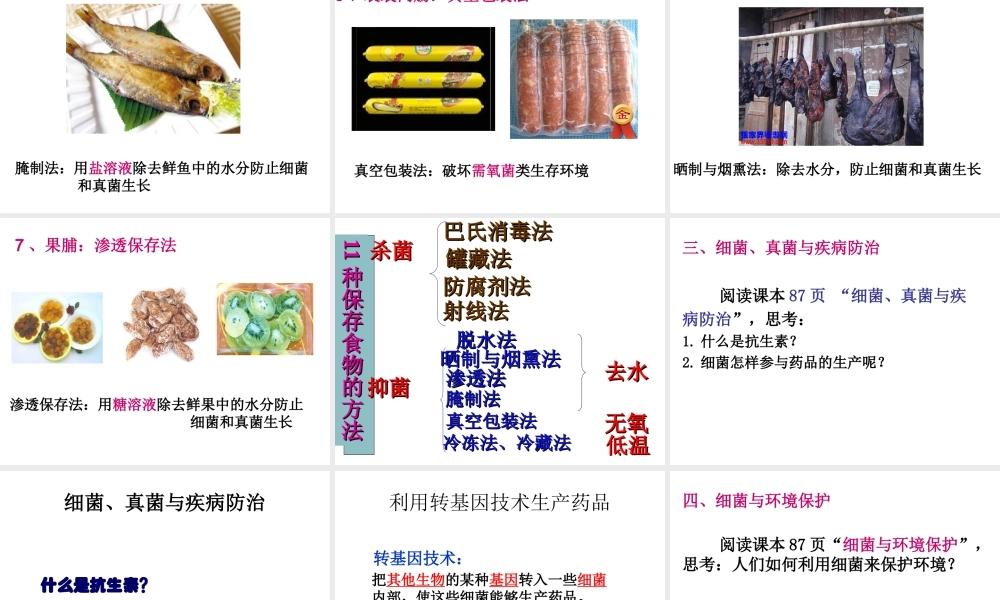 八年级生物上册 5.4.5人类对细菌和真菌的利用课件 （新版）新人教版-（新版）新人教版初中八年级上册生物课件