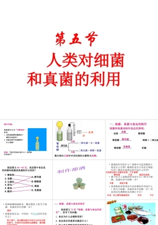八年级生物上册 5.4.5人类对细菌和真菌的利用课件 （新版）新人教版-（新版）新人教版初中八年级上册生物课件