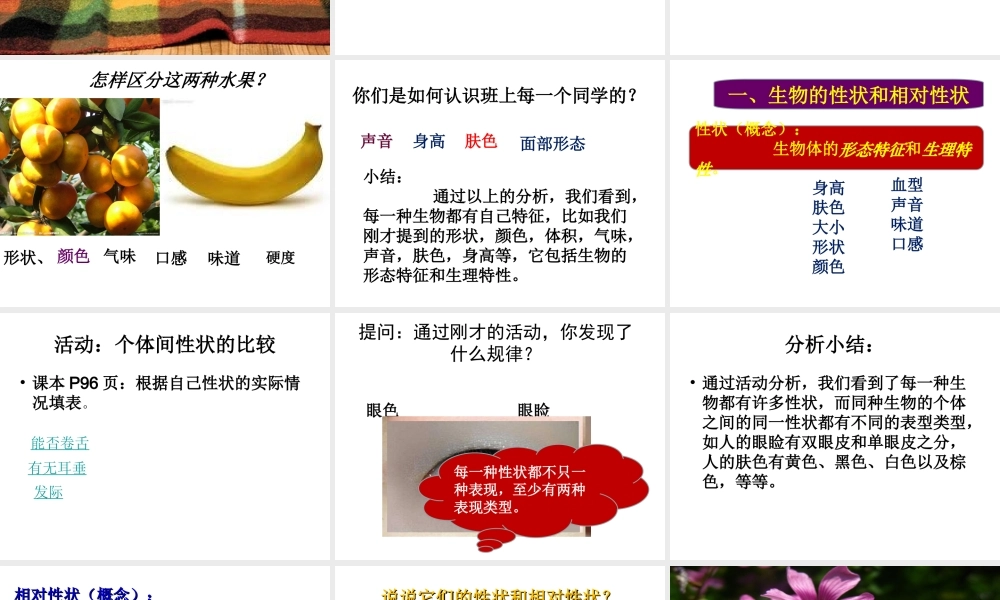 八年级生物上册 第1节 遗传和变异的现象公开课课件 北师大版