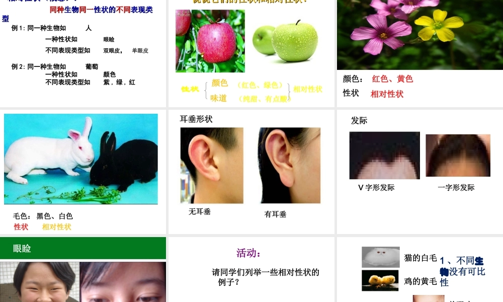 八年级生物上册 第1节 遗传和变异的现象公开课课件 北师大版