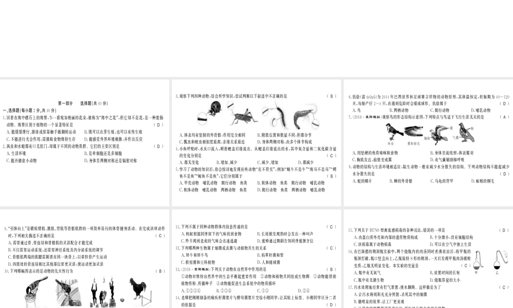 八年级生物上册 期末测评卷习题课件 （新版）新人教版-（新版）新人教版初中八年级上册生物课件