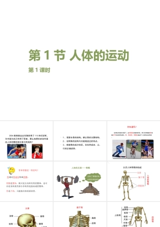 八年级生物上册 6.17.1《人体的运动》第1课时课件 （新版）苏科版-（新版）苏科级上册生物课件