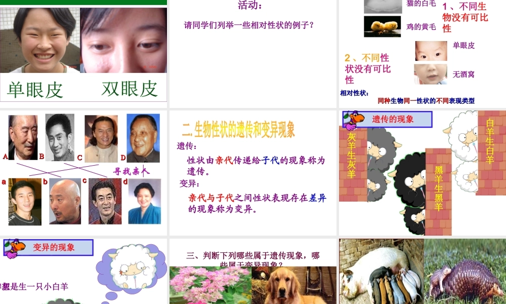八年级生物上册 第1节 遗传和变异现象教学课件 北师大版