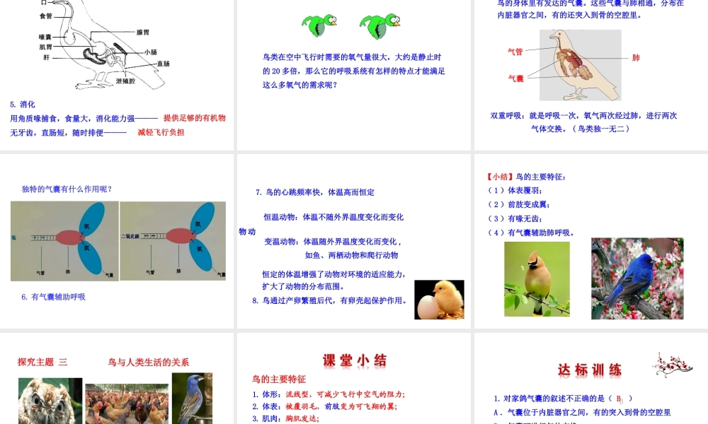 八年级生物上册 5.1.6 鸟课件 （新版）新人教版