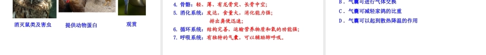 八年级生物上册 5.1.6 鸟课件 （新版）新人教版