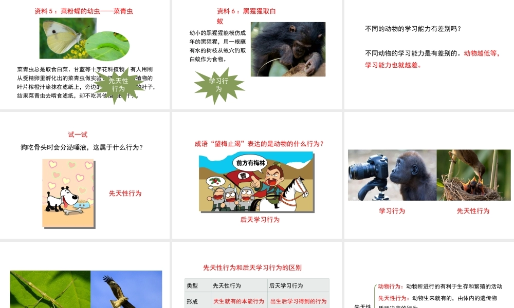 八年级生物上册 7.2.2《先天性行为和学习行为》（第1课时）课件 鲁科版五四制-鲁科版初中八年级上册生物课件