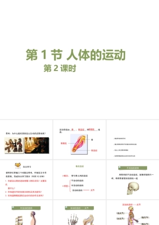 八年级生物上册 6.17.1《人体的运动》第2课时课件 （新版）苏科版-（新版）苏科版初中八年级上册生物课件