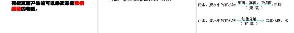 八年级生物上册 5.4.5人类对细菌和真菌的利用课件 新人教版