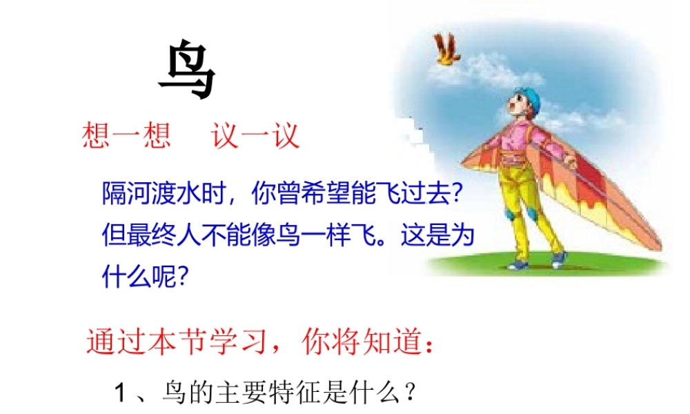 八年级生物上册 5.1.6 鸟课件1 （新版）新人教版-（新版）新人教版初中八年级上册生物课件