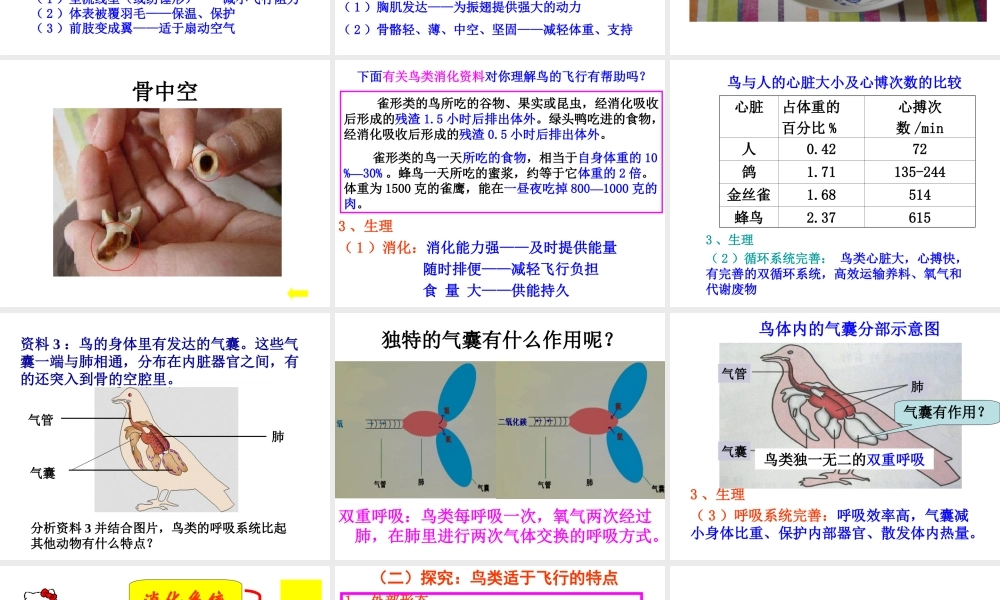 八年级生物上册 5.1.6 鸟课件1 （新版）新人教版-（新版）新人教版初中八年级上册生物课件
