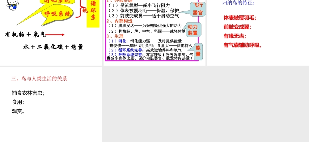 八年级生物上册 5.1.6 鸟课件1 （新版）新人教版-（新版）新人教版初中八年级上册生物课件