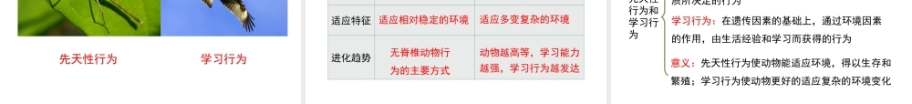 八年级生物上册 7.2.2《先天性行为和学习行为》（第1课时）课件 鲁科版五四制-鲁科级上册生物课件