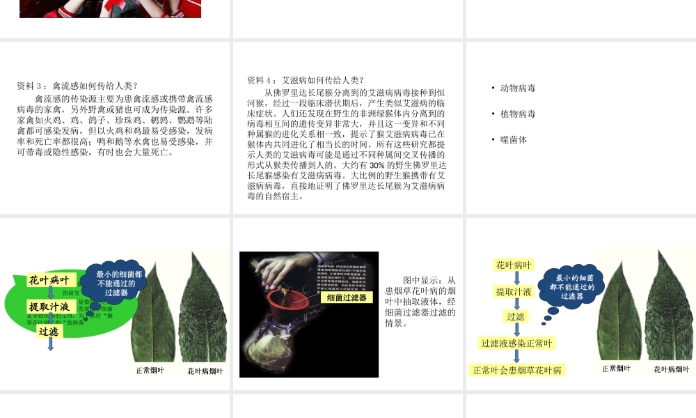 八年级生物上册 5.5 病毒教学课件 （新版）新人教版-（新版）新人教版初中八年级上册生物课件