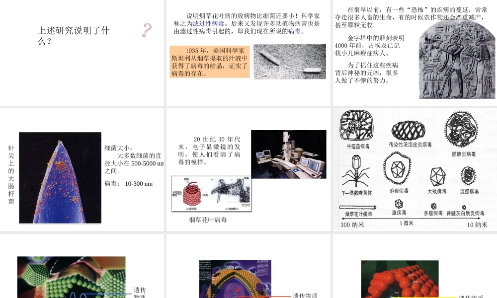 八年级生物上册 5.5 病毒教学课件 （新版）新人教版-（新版）新人教版初中八年级上册生物课件