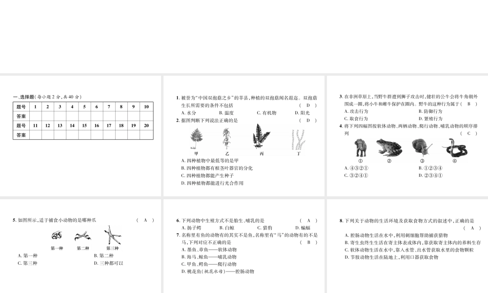 八年级生物上册 期末达标测试课件 （新版）新人教版-（新版）新人教版初中八年级上册生物课件