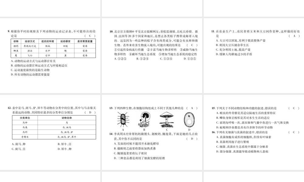 八年级生物上册 期末达标测试课件 （新版）新人教版-（新版）新人教版初中八年级上册生物课件