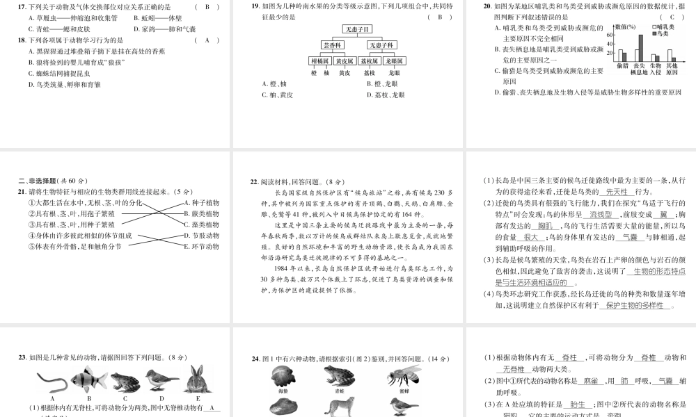 八年级生物上册 期末达标测试课件 （新版）新人教版-（新版）新人教版初中八年级上册生物课件
