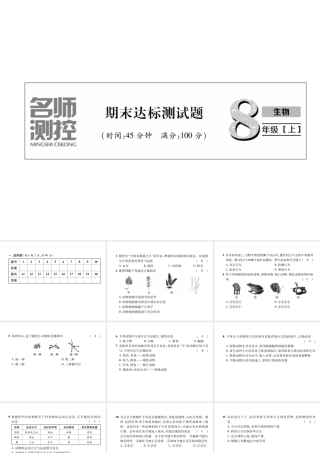 八年级生物上册 期末达标测试课件 （新版）新人教版-（新版）新人教版初中八年级上册生物课件
