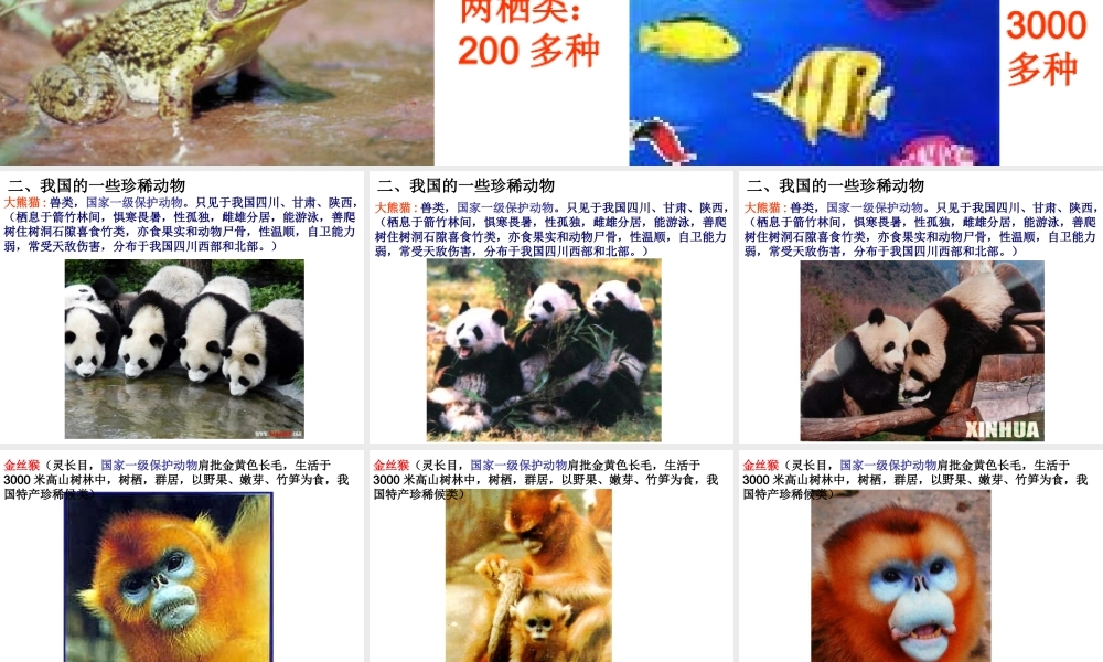 八年级生物上册 第2节 我国动物资源及保护课件 北师大版