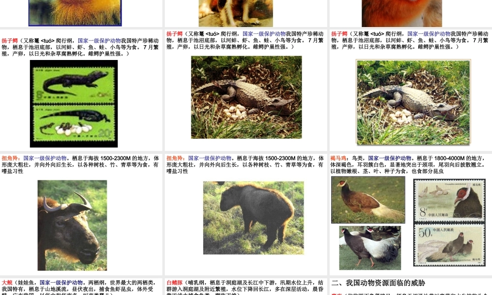 八年级生物上册 第2节 我国动物资源及保护课件 北师大版
