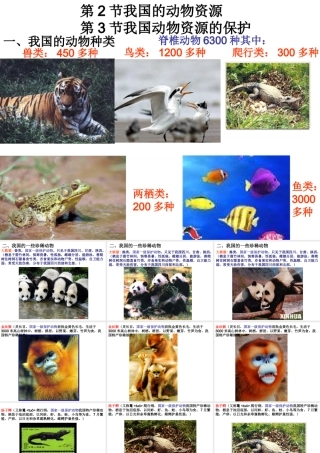 八年级生物上册 第2节 我国动物资源及保护课件 北师大版