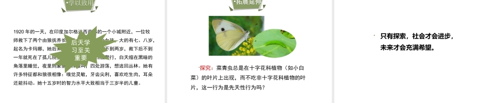 八年级生物上册 7.2.2《先天性行为和学习行为》（第2课时）课件 鲁科版五四制-鲁科版初中八年级上册生物课件