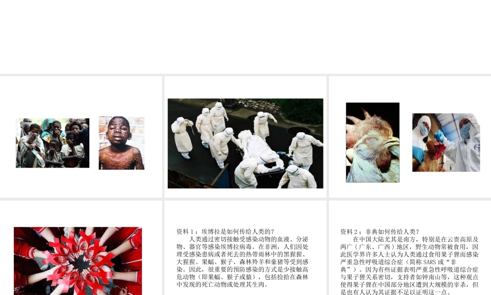 八年级生物上册 5.5 病毒教学课件 （新版）新人教版-（新版）新人教级上册生物课件