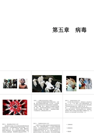 八年级生物上册 5.5 病毒教学课件 （新版）新人教版-（新版）新人教级上册生物课件