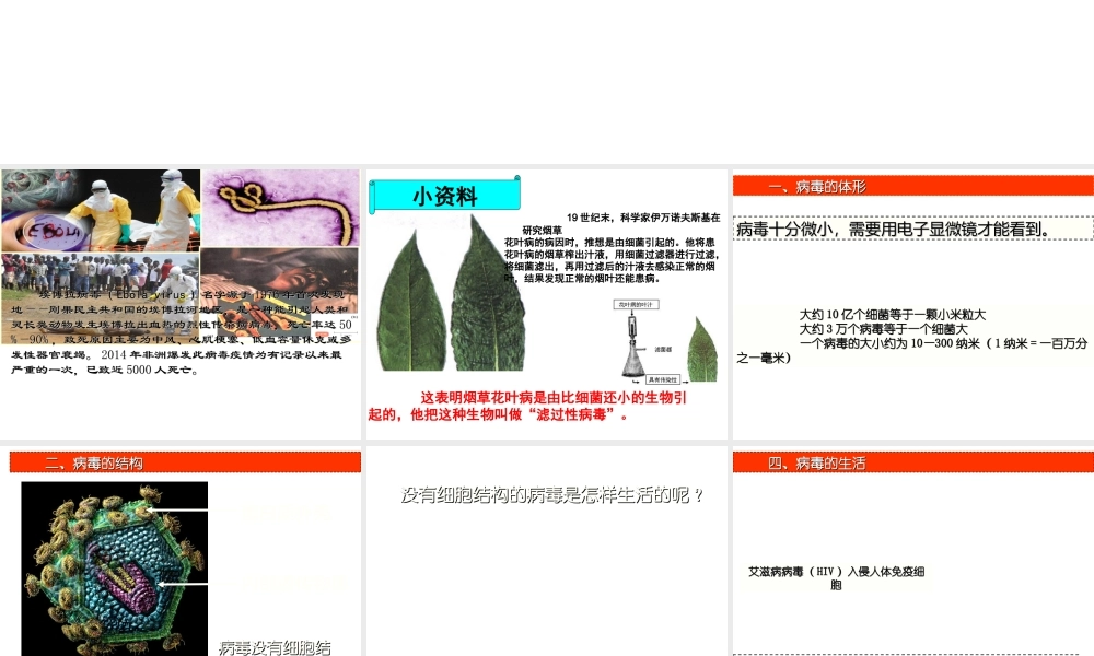 八年级生物上册 5.5 病毒课件 （新版）新人教版-（新版）新人教版初中八年级上册生物课件