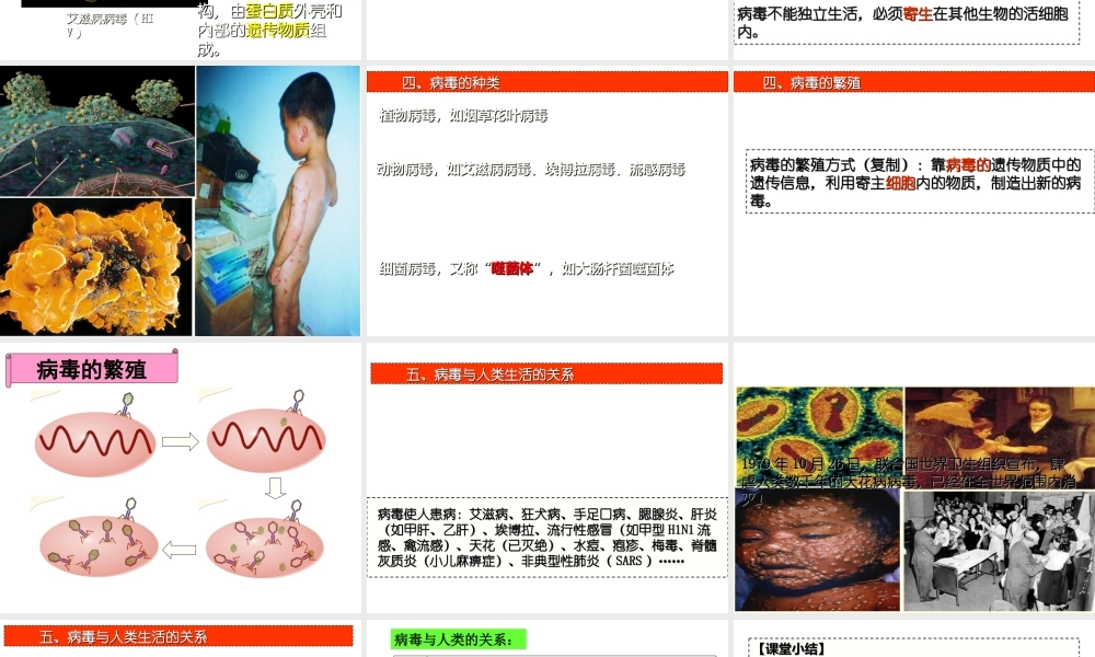 八年级生物上册 5.5 病毒课件 （新版）新人教版-（新版）新人教版初中八年级上册生物课件