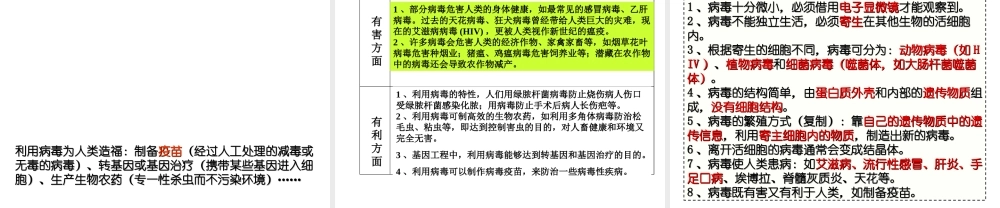 八年级生物上册 5.5 病毒课件 （新版）新人教版-（新版）新人教版初中八年级上册生物课件