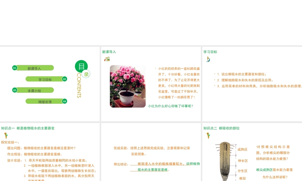 八年级生物上册 第2章 第2节 根对水分的吸收课件 （新版）冀教版-（新版）冀教版初中八年级上册生物课件