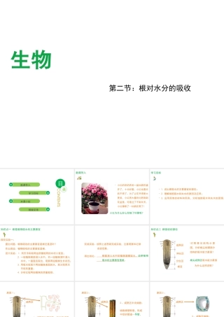 八年级生物上册 第2章 第2节 根对水分的吸收课件 （新版）冀教版-（新版）冀教版初中八年级上册生物课件