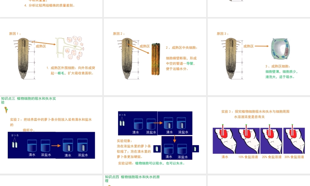 八年级生物上册 第2章 第2节 根对水分的吸收课件 （新版）冀教版-（新版）冀教级上册生物课件