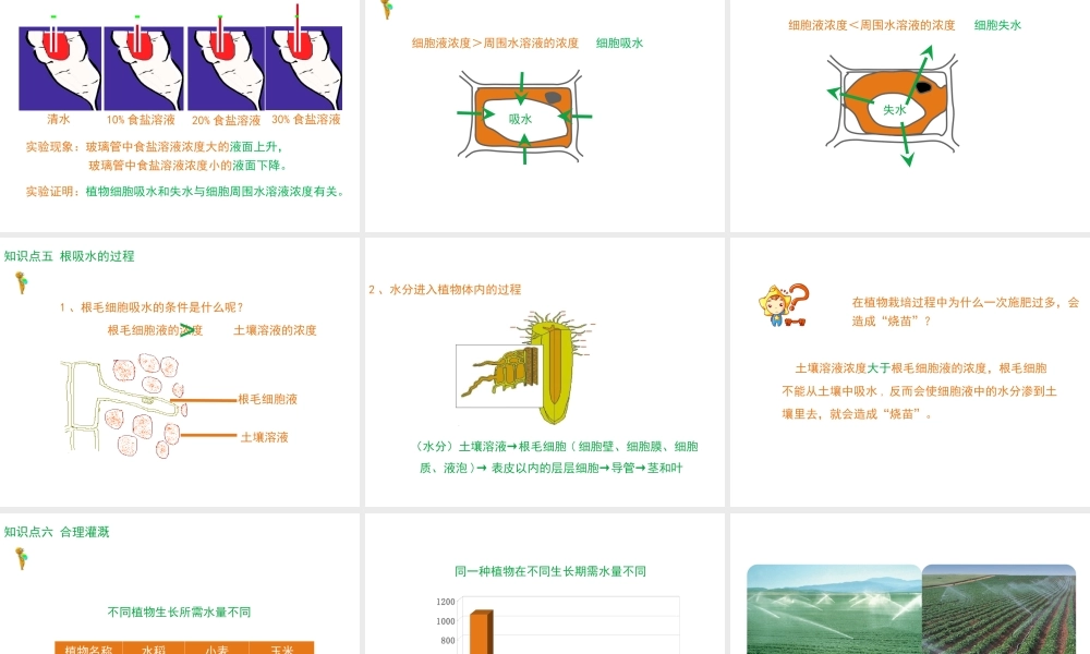 八年级生物上册 第2章 第2节 根对水分的吸收课件 （新版）冀教版-（新版）冀教级上册生物课件