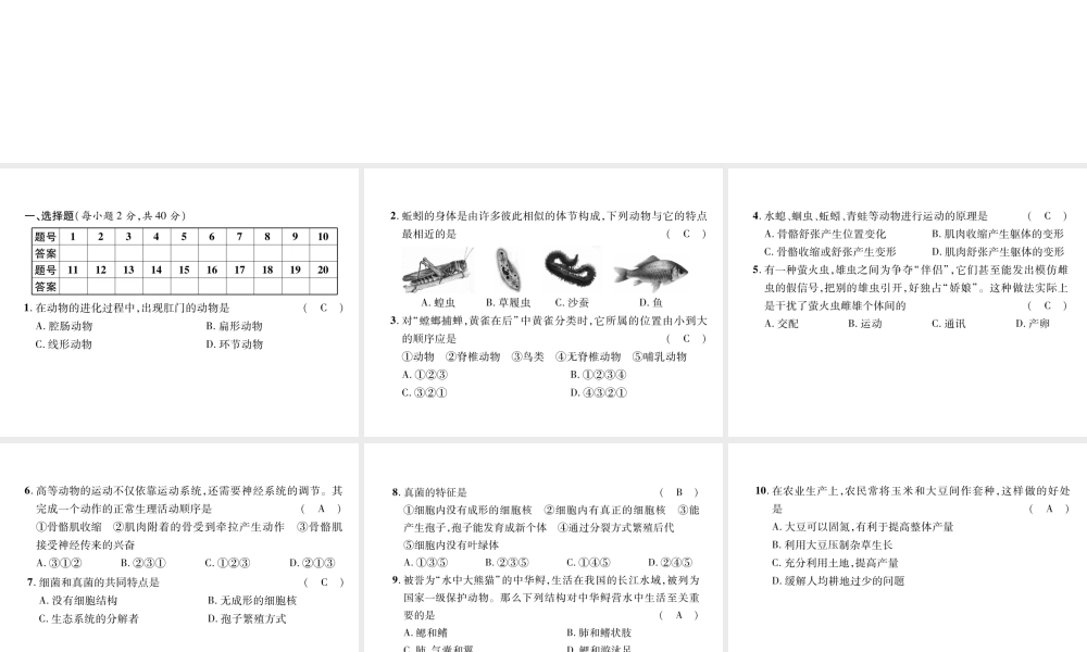 八年级生物上册 期末达标测试题课件 （新版）新人教版-（新版）新人教版初中八年级上册生物课件