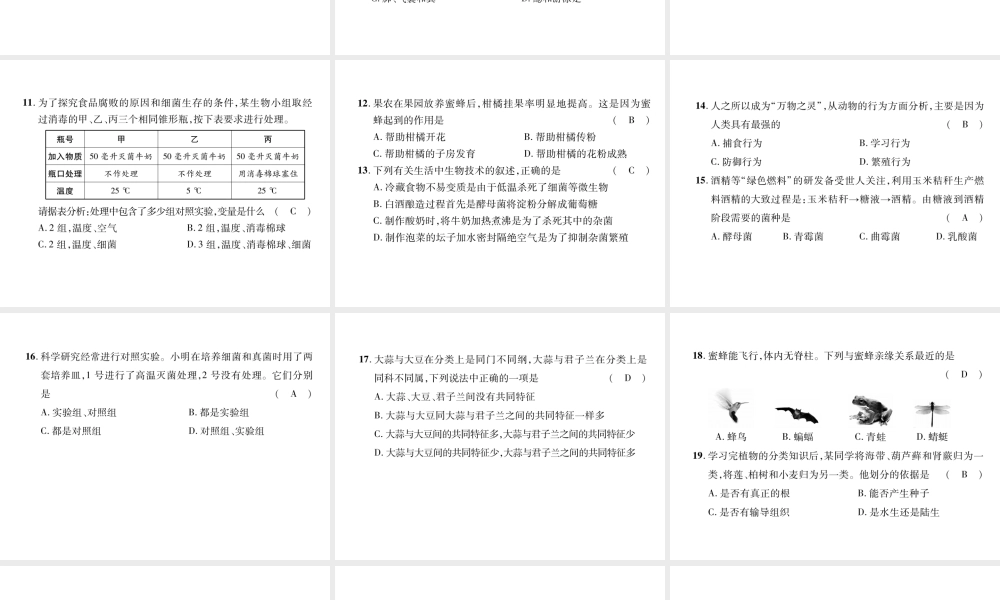 八年级生物上册 期末达标测试题课件 （新版）新人教版-（新版）新人教版初中八年级上册生物课件