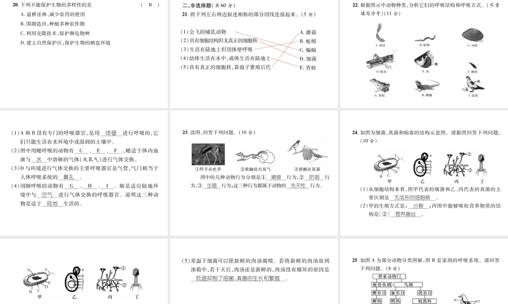 八年级生物上册 期末达标测试题课件 （新版）新人教版-（新版）新人教版初中八年级上册生物课件