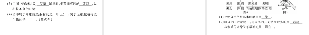 八年级生物上册 期末达标测试题课件 （新版）新人教版-（新版）新人教版初中八年级上册生物课件