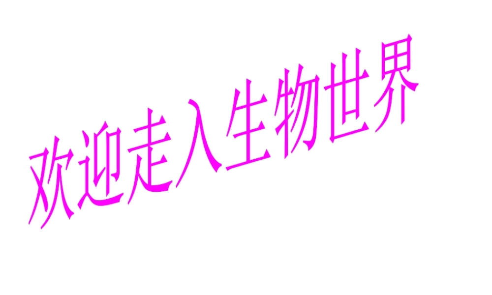 八年级生物上册 5.5 病毒课件 新人教版-新人教版初中八年级上册生物课件