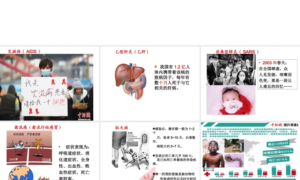 八年级生物上册 5.5 病毒课件 新人教版-新人教版初中八年级上册生物课件