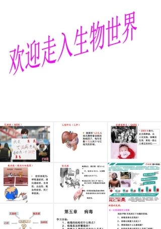 八年级生物上册 5.5 病毒课件 新人教版-新人教版初中八年级上册生物课件