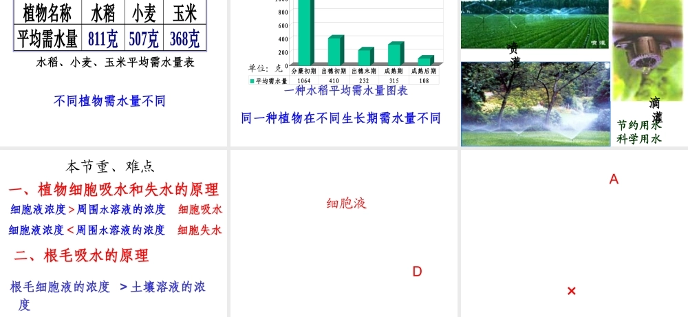 八年级生物上册 第2章 第2节 根对水分的吸收课件1 （新版）冀教版-（新版）冀教版初中八年级上册生物课件